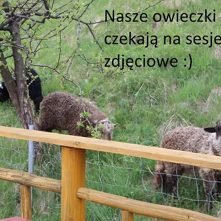 Pod Zielonym Wierchem * Zakopane