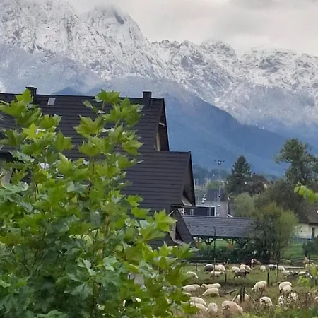 Pod Zielonym Wierchem * Zakopane